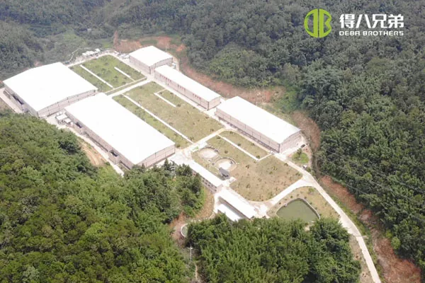 ãতরল খাওয়ানোর ব্যবস্থাãGuangdong Zhaoqing 20000 fattening 10000 weaning pig farm.